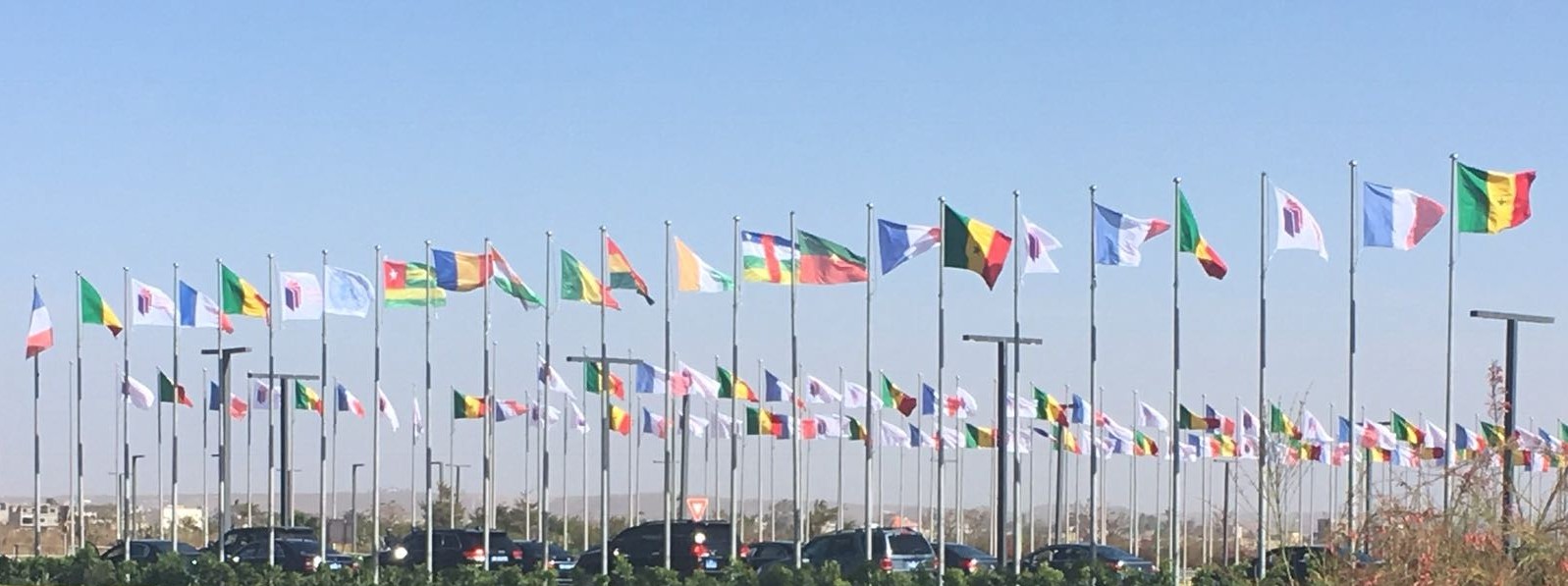 many flags